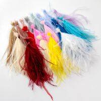 Pcs/Bundle Feathers 10-18CM Fluffy Plumes Sewing Crafts Jewelry Accessories Wedding Clothing Decoration