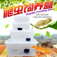 [COD] Climbing pet breeding box snail spider horned frog turtle large medium and arboreal avoidance landscaping amphibious reptile