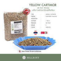 HILLKOFF : เมล็ดกาแฟสาร พร้อมคั่ว Green Beans Dry 22/23 : Arabica Yellow Cartimor (Grade A) 1 Kg. คัดมือพิเศษ เมล็ดกาแฟดิบ สารกาแฟ