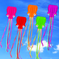 free shipping high quality large octopus kite with handle line children kites wholesale eagle kite surfing hcxkite factory