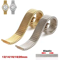 12 14mm 16mm 18mm 20mm Stainless Steel Elastic Stretch Strap Metal Expansion Silver Gold Watch Band Wristband Bracelet with Tool Straps