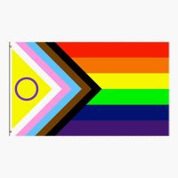 ZXZ rainbow Pride Flag 90x150cm Better Represent Intersex People LGBT Rainbow Flags custom flag dream smp flag