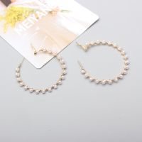 2021 Trendy Temperament Super Fairy Pearl Hoop Earrings Are Simple And Exaggerated  Boucle Oreille Femme Pendientes Bar  Wine Tools