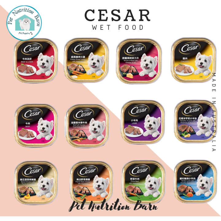 Cesar wet dog food 100g dog reward canned food Lazada PH