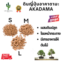 ดินญี่ปุ่น Akadama อาคาดามะ ดินปลูกบอนไซ Bonsai cactus กระบองเพชร