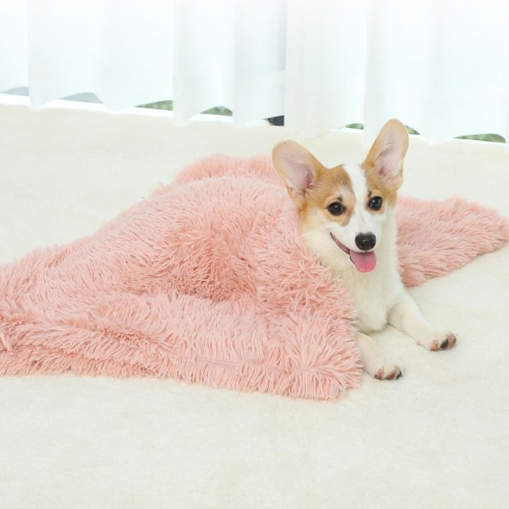 pets-baby-ผ้าห่มนุ่มอุ่นลูกหมา