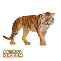 Animal Kingdom - โมเดล Tiger พ่อเสือโคร่ง ขนาด 14.00 CM (จากสงขลา)