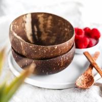 ETXNatural Coconut Bowl Set Handmade Coconut Shell Tableware Wood Spoon Dessert Fruit Salad Mixing Bowl Rice Ramen Bowl