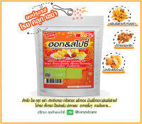 Toryodchef ผงปรุงรส โรย คลุก เขย่า .รสฮอทแอนด์สไปซี่ (Hot&amp;Spicy Seasoning Powder)  ซอง  500  กรัม เลือกรสอื่นรวมได้