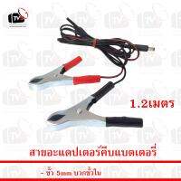 สายอะแดปเตอร์คีบแบตเตอรี่ ขั้ว 5mm บวกขั้วใน สายยาว 5m