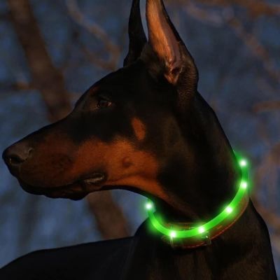 （HOT) ปลอกคอเรืองแสงสุนัข ปลอกคอแบบชาร์จได้ปลอกคอเรืองแสงขนาดใหญ่สำหรับสัตว์เลี้ยงเท็ดดี้สุนัขตัวเล็กไฟสุนัขเดินกลางคืน