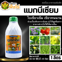 ? แซดคาไรด์ (แมกนีเซียม) 1ลิตร ใบเขียวเข้ม เขียวทนนาน ทนร้อน ทนหนาว