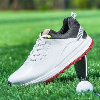 ✠ Mens Golf Shoes Size 12 Clearance Comfortable Mens Golf Shoes - Genuine Leather - Aliexpress