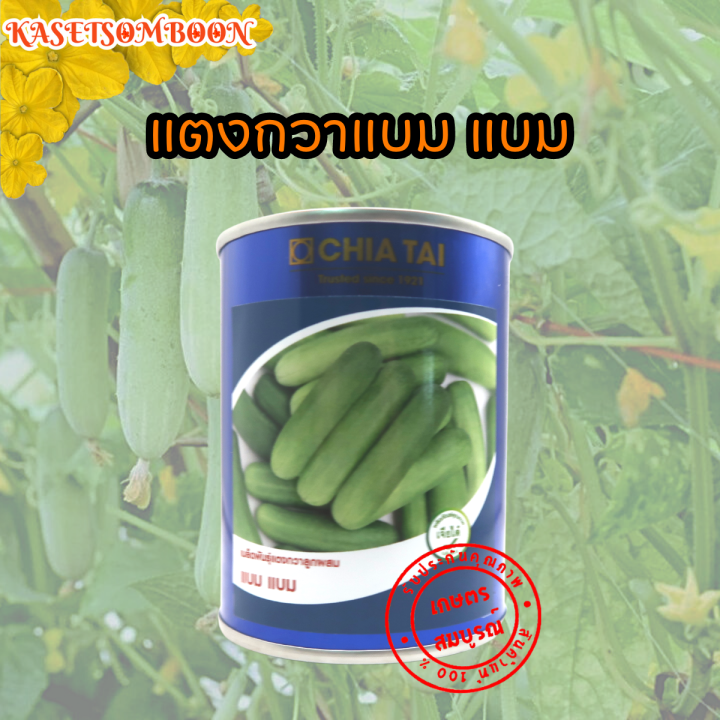 แตงกวาแบม-แบม-เมล็ดพันธุ์แตงกวา-50-ก-ตราเจียไต๋-ผสสีเขียว-ยาว-11-ซม