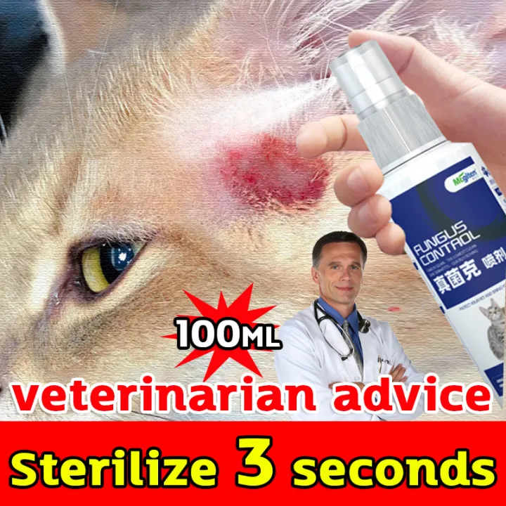 😻Nontoxic, can be licked💯Pet skin treatment spray 100ml Pet skin care