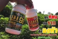 **ซื้อ1แถม2** บูม99 ปุ๋ยน้ำสำหรับพืช เร่งราก ต้น ใบ เพิ่มผลผลิตได้ดี ปุ๋ยทางใบ ขนาด1000ซีซี