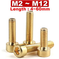 DIN912 [ M2 M2.5 M3 M4 M5 M6 M8 M10 M12 ] Pure ss Hex Hexagon Socket Cap Head Screws Allen Copper Machine Bolts Cup Head C006