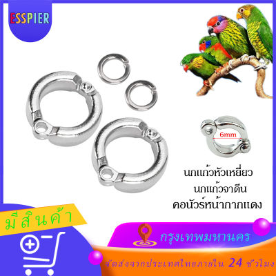 ห่วงขานก 6mm ห่วงใส่ขานก สายจูงนก ห่วงขานกแก้ว อุปกรณ์นกแก้ว