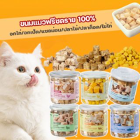 【Ganggang】COD ขนมแมว Freeze Dried ขนมแมวฟรีซดราย 100% อกไก่อบแห้งแช่แข็ง อกไก่ อกเป็ด แซลม่อน รวมรส ปลาไข่ ปลาค็อด ไข่ไก่