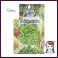 เมล็ดผักสลัดแกรนด์แรปิดส์ GREEN GARDEN 2 กรัมGRAND RAPIDS LETTUCE SEEDS GREEN GARDEN 2G **ราคาดีที่สุด**