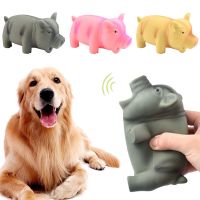 Chew Training Pets Accessories Bite Teeth Cleaning Squeak Rubber Sound Pig Dog Chew Toys Latex Pet Chew Toys Toys
