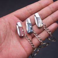 New Mini Folding Knife Keychains Small Blade Stainless Steel Key Chains Rings Hanging Outdoor Camping Knife Pendant Keyring