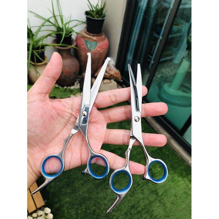 top-paw-scissors-curved-ball-tip-กรรไกรตัดขนสุนัข-ปลายโค้งสแตนเลส-คมมาก-new-package