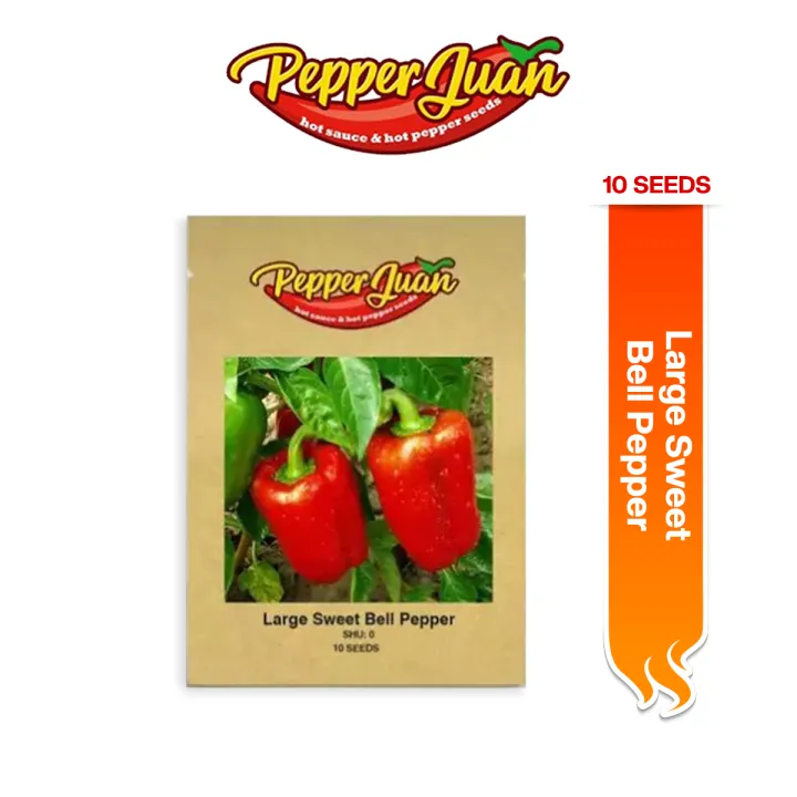 Large Sweet Bell Pepper Seeds (20 seeds) Lazada PH