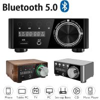 Mini Audio HiFi Bluetooth 5.0 Power Class D Amplifier TPA3116 Digital Amp 50W 50W Home Audio Car Marine USB/AUX TF Card