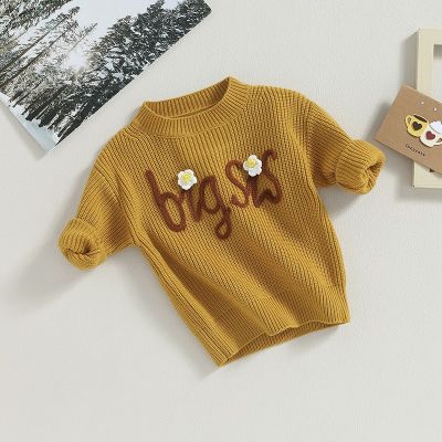 Autumn New Baby Boys Girls Sweater Children Knit Wear Flower Embroidery Letter Long Sleeve Knitwear Pullover Tops For Kids