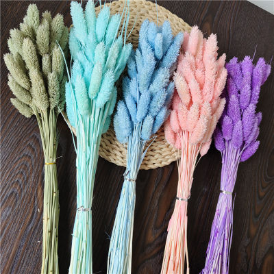 【Cw】40~45PCS35CM Long,Real Natural Dry Plant Beauty Grass nch, Driried Jewel Flower Bouquet For Home Decor,Wedding Decoration