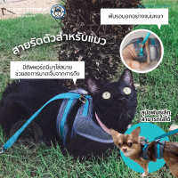 สายรัดตัวแมว Cat Harness - Kumfi Comfy จากตัวแทนจำหน่ายอย่างเป็นทางการ เจ้าเดียวในประเทศไทย