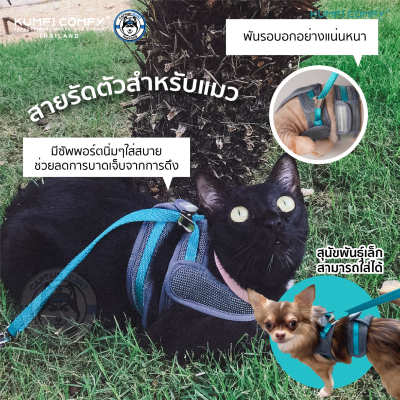 สายรัดตัวแมว Cat Harness - Kumfi Comfy จากตัวแทนจำหน่ายอย่างเป็นทางการ เจ้าเดียวในประเทศไทย