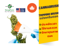 CannaBrush Trimming Brush แปรงทริมดอกกัญชา นำเข้า USA