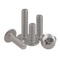 M2 M2.5 M3 M4 M5 M6 304 A2 Stainless Steel JISB1111T Cross Phillips Truss Head Large Flat Round Screw Bolt