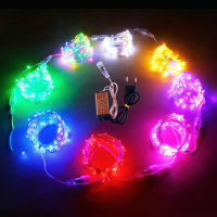 led Lighting Chain Copper Wire Docking Colored Lights Engineering Lighting Light Festivals New Year Ornamental Festoon Lamp Factory Direct Sales