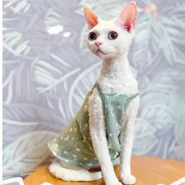 Sphynx Cat Summer Clothes - Best Price in Singapore - Nov 2023