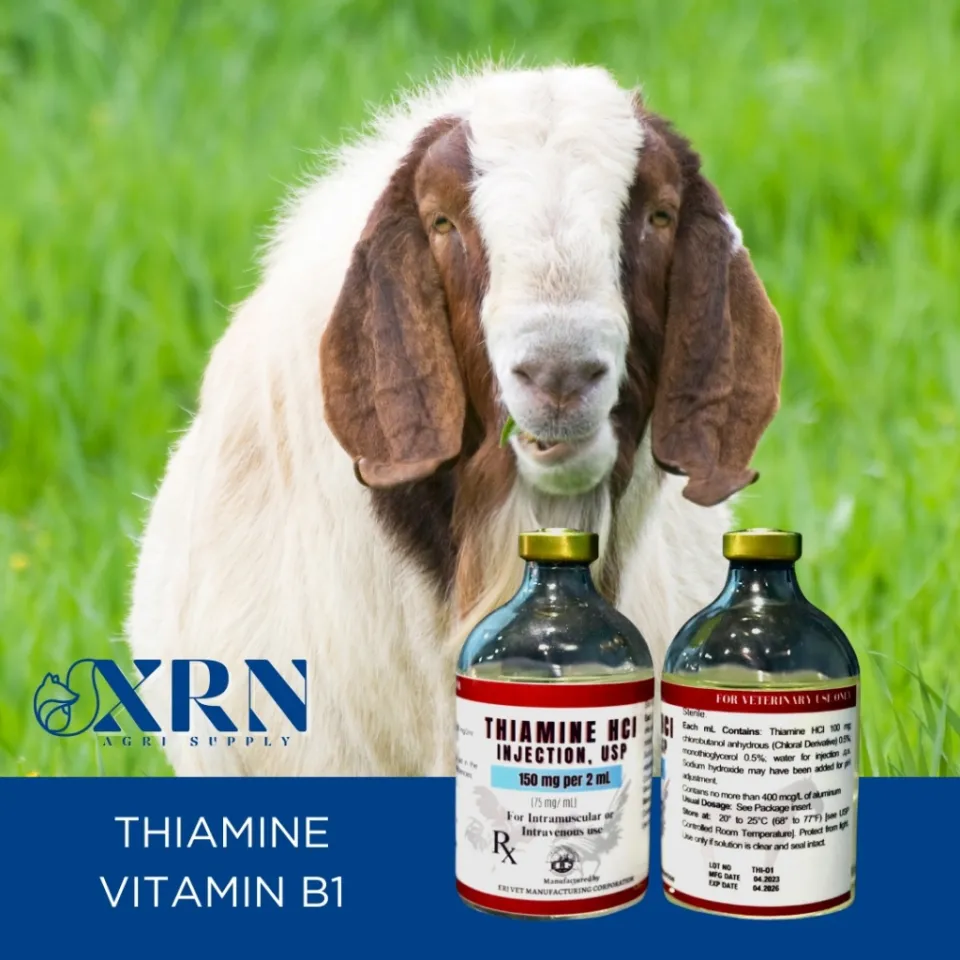 Vitamin B1 For Goats