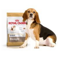 ห้ามพลาด สินค้า ส่งฟรี Royal Canin Beagle บีเกิ้ล ขนาด 3โล