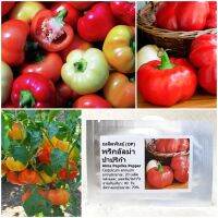 เมล็ดพันธุ์ อัลม่า ปาปริก้า Alma Paprika Pepper Seed 20 เมล็ด คุณภาพดี ราคาถูก ของแท้