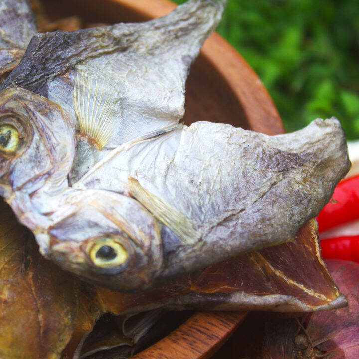 BONELESS UNSALTED CEBU DRIED DANGGIT DRY FISH 500 Grams Lazada PH