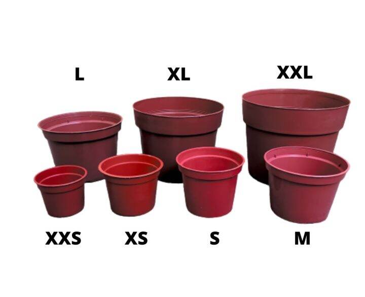 10 pcs Nursery Propagation Clay Plastic Pots Medium Lazada PH