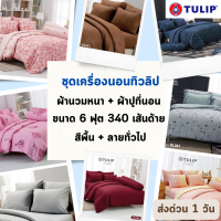 Tulip Delight ครบเซท ผ้านวมและผ้าปูที่นอน ทิวลิป ดีไลท์ 340 เส้นด้าย ขนาด 6 ฟุต หนา 13 นิ้ว  สีพื้น + ลายทั่วไป