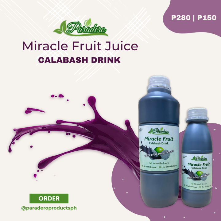 Paradero Miracle Fruit Juice - Calabash Drink | Lazada PH