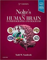 Noltes The Human Brain in Photographs and Diagrams, 5 ed - ISBN : 9780323598163 - Meditext