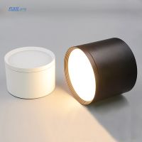 Surface Mounted Ceiling light SMD5730 5W7W12W18W AC85-265V lamp COB Led indoor lighting Spot light led driver