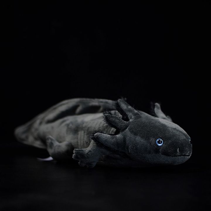 Axolotl giá tốt giảm giá đến 40  Tháng 8 2023  Mua Ngay  Tiki
