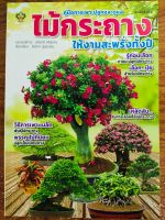 หนังสือ เกี่ยวกับการเกษตร : คู่มือการเพาะปลูกและดูแลไม้กระถาง ให้งามสะพรั่งทั้งปี