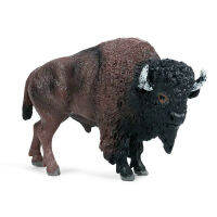 Afwild Life Zoo สัตว์รุ่น American Bison Figures ตุ๊กตาสะสมเด็กของเล่นเพื่อการศึกษาเด็ก GiftM