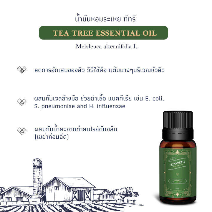 น้ำมันหอมระเหย-ทีทรี-tea-tree-essential-oil-10-30-ml-น้ำหอมอโรม่า-น้าหอมเครื่องพ่นอโรม่า